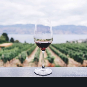 Weinfest in Sulz am Neckar La Strada Del Vino